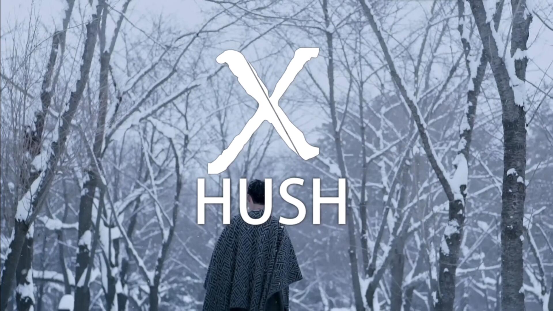 x(Hush演唱的歌曲)