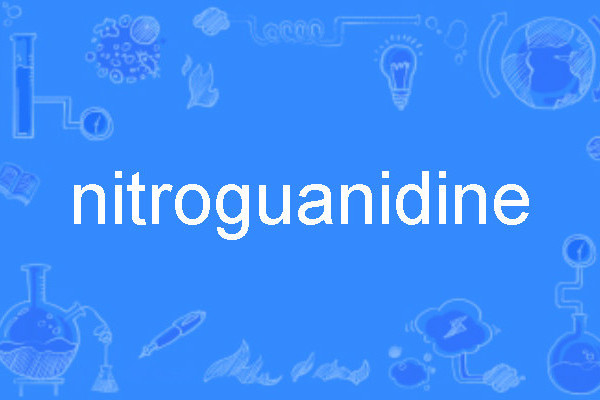 nitroguanidine nitroguanidine