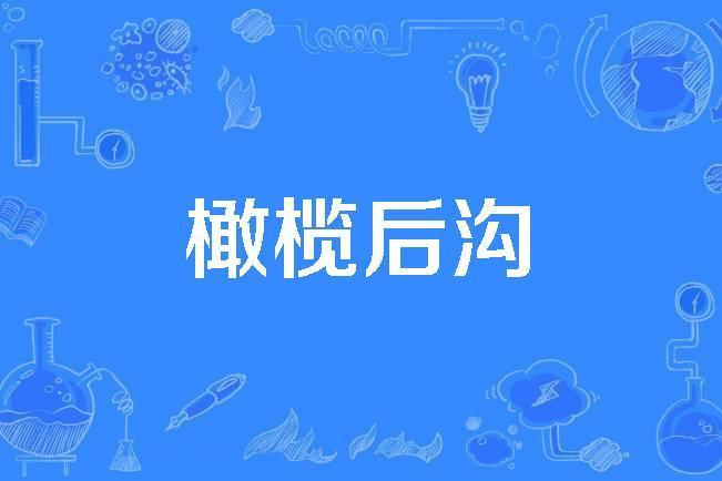 橄欖後溝 橄欖後溝