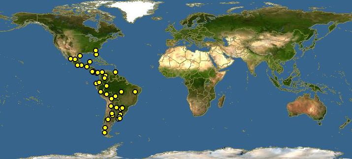 南美小斑虎貓分布圖