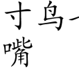 三寸鳥七寸嘴 三寸鳥七寸嘴