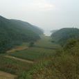 清水河村(山西省大同市左雲縣張家場鄉下轄村) 清水河村(山西省大同市左雲縣張家場鄉下轄村)