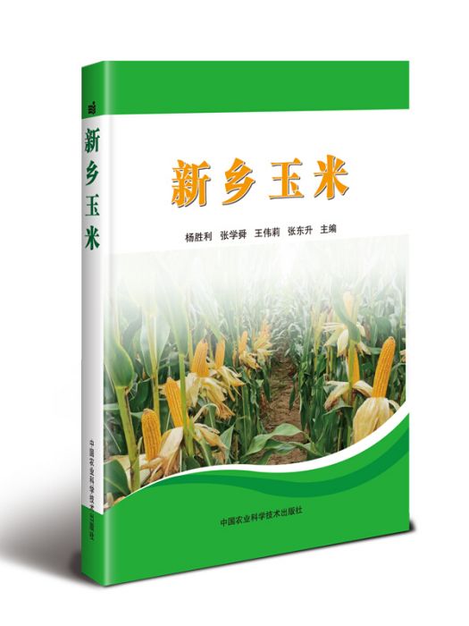 新鄉玉米 新鄉玉米