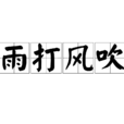 雨打風吹 雨打風吹
