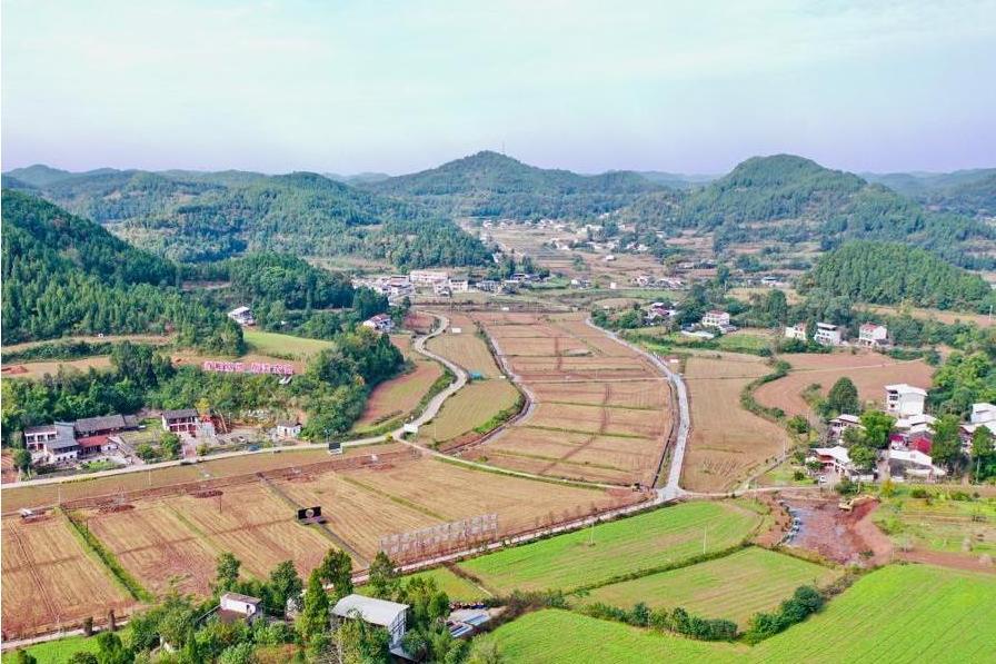 牛心村(四川省遂寧市射洪市瞿河鎮下轄行政村) 牛心村(四川省遂寧市射洪市瞿河鎮下轄行政村)