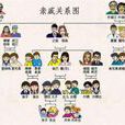 擬親屬稱謂 擬親屬稱謂