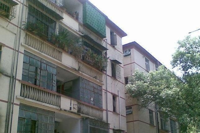 桂木園 桂木園