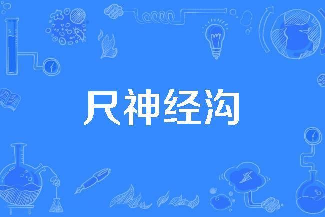 尺神經溝