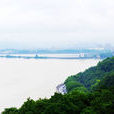 頭龍頭 頭龍頭