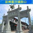 新興鎮(山東省臨沂市蘭陵縣新興鎮)