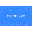extensive extensive