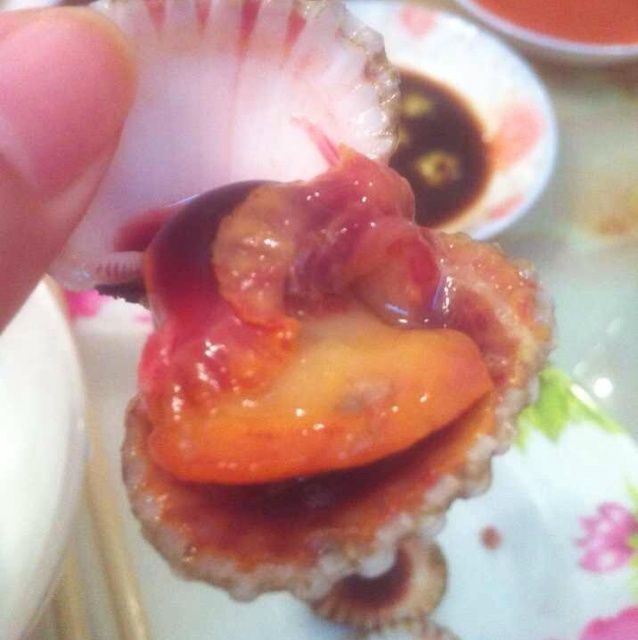 潮汕血蚌