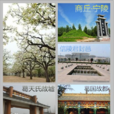 寧陵縣