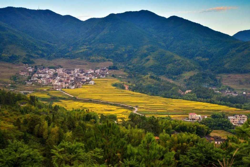 岜倫村 岜倫村