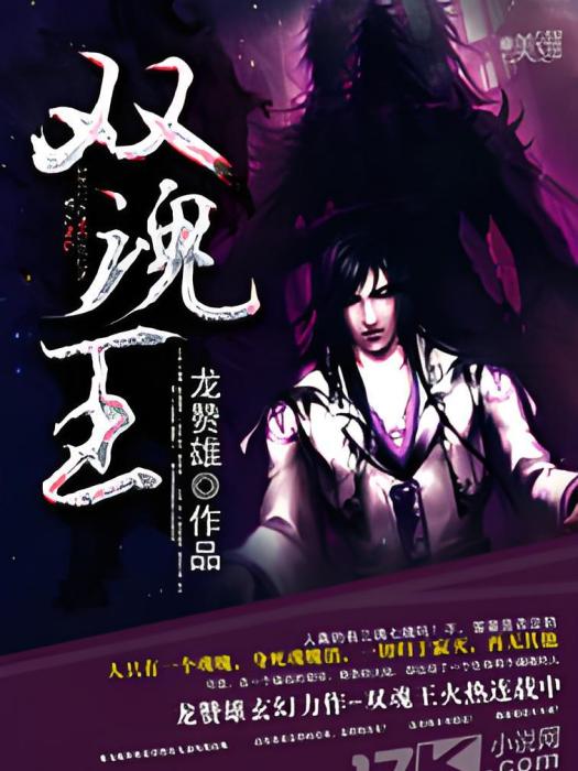 雙魂王 雙魂王