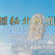 探秘北極熊 探秘北極熊