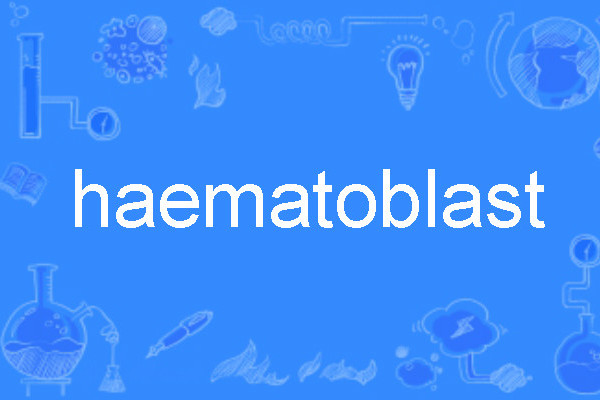 haematoblast haematoblast
