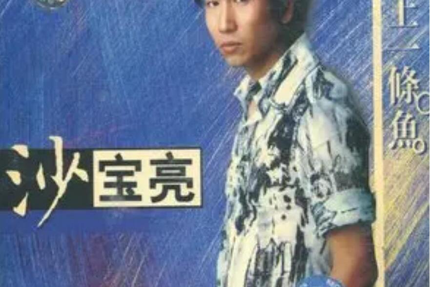 認領(沙寶亮《愛上一條魚》專輯中的歌曲) 認領(沙寶亮《愛上一條魚》專輯中的歌曲)