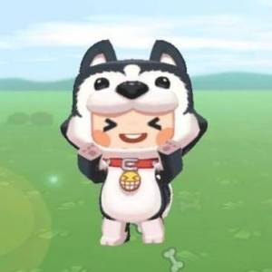 哈魯 哈魯