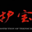 護寶 護寶