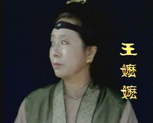 王嬤嬤(《紅樓夢》中的人物) 王嬤嬤(《紅樓夢》中的人物)