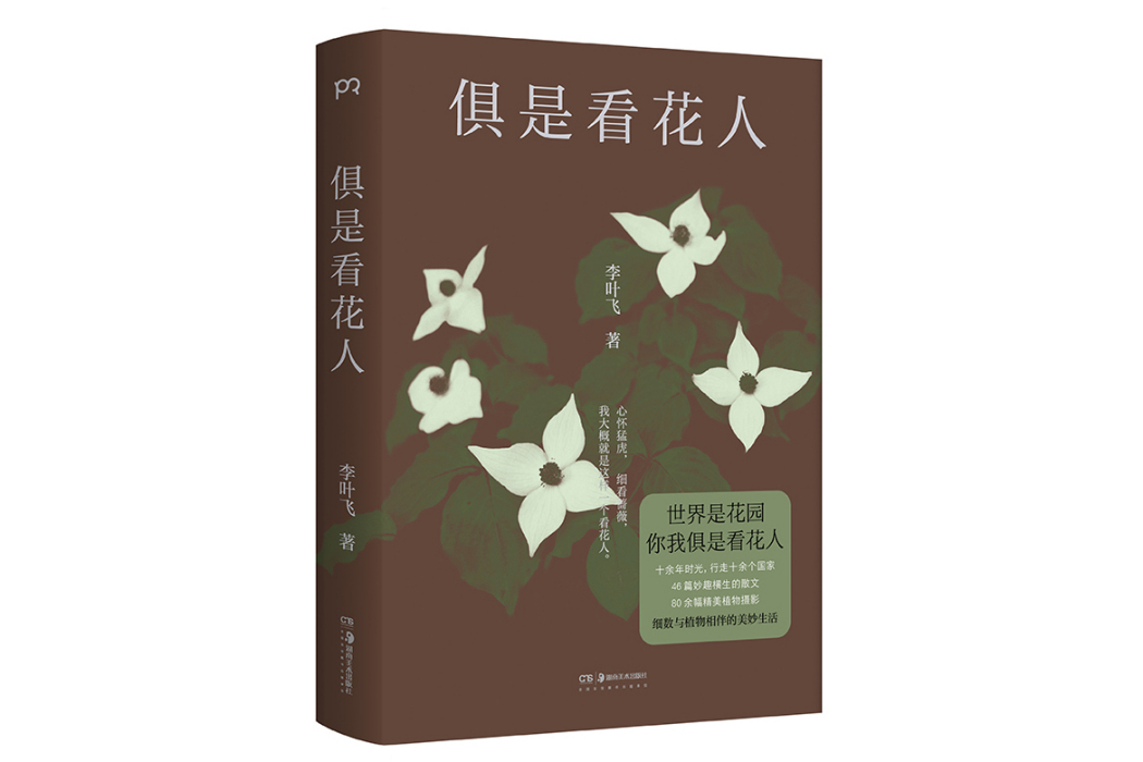 俱是看花人