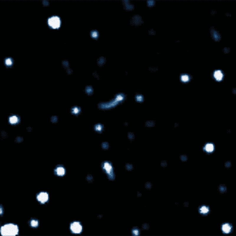 數年內觀測到人馬座A*附近的恆星利用延時攝影呈現