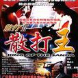 散打王(2005年由胡人執導的電視劇) 散打王(2005年由胡人執導的電視劇)
