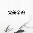 完美帝路 完美帝路