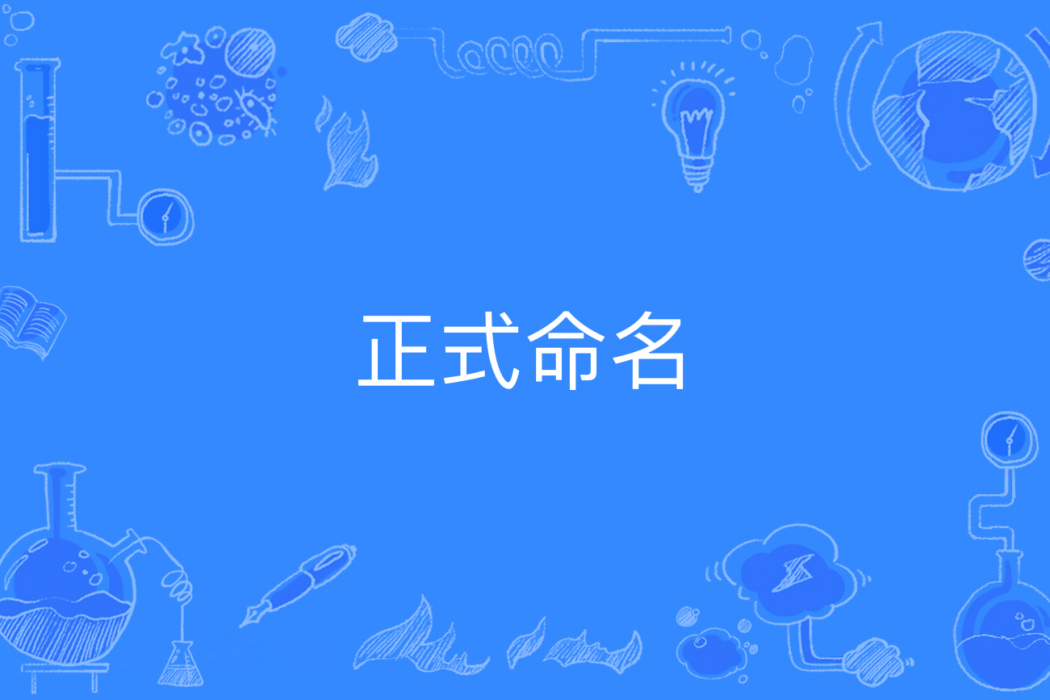 正式命名 正式命名