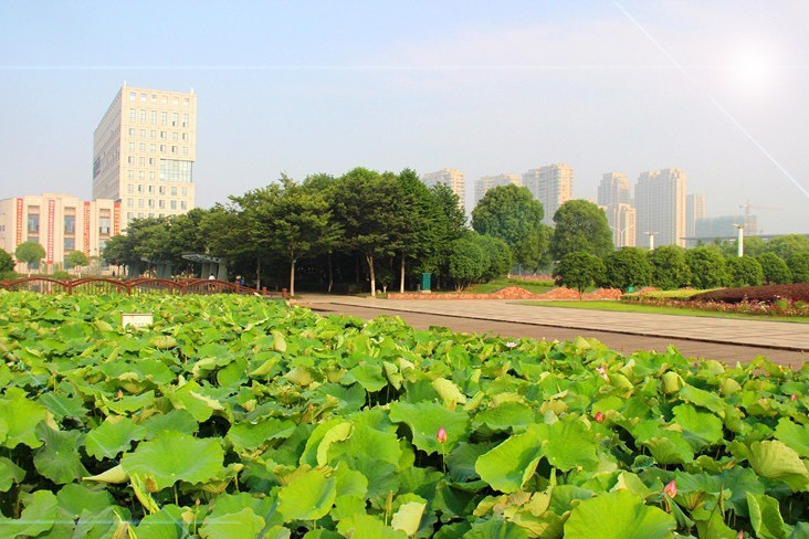 李善蘭公園