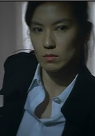 神探(2007年劉青雲主演香港電影)