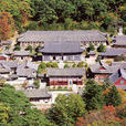 海印寺(韓國伽耶山寺廟)