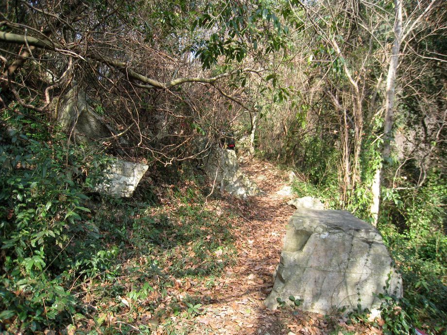 姚家古道 姚家古道