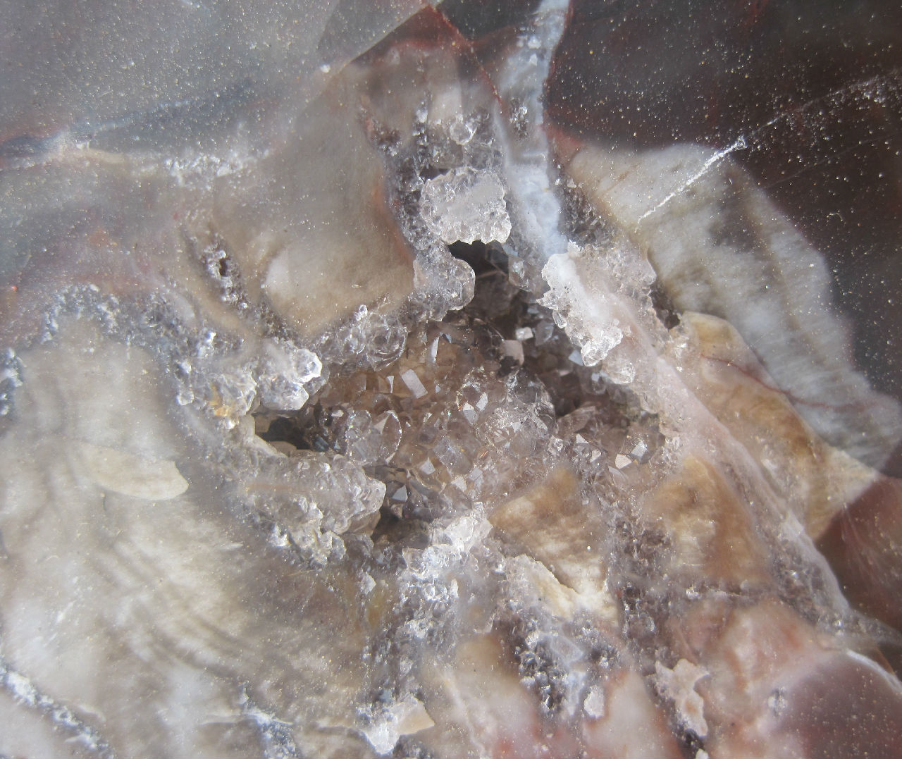 矽化木中的水晶洞