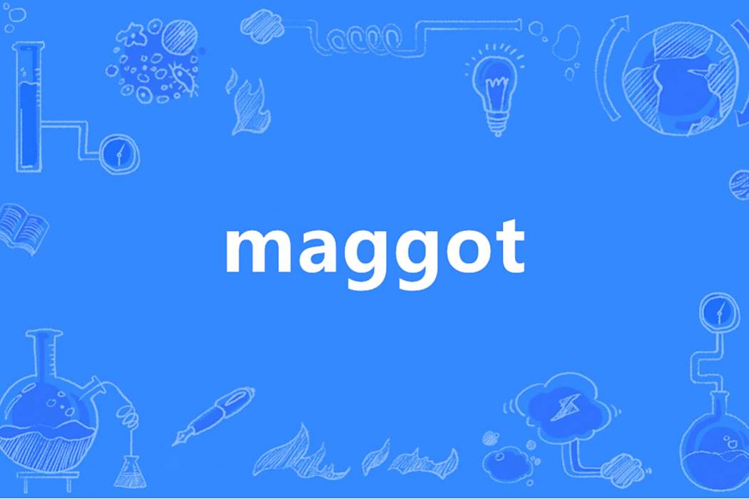 Maggot(英語單詞)