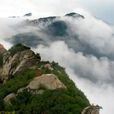 中南(詞語概念) 中南(詞語概念)