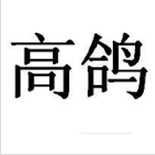 高鴿 高鴿