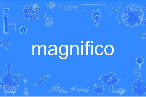 magnifico magnifico