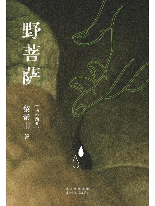 野菩薩(2023年北京十月文藝出版社出版的書籍) 野菩薩(2023年北京十月文藝出版社出版的書籍)
