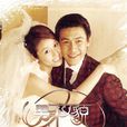 男才女貌(2003年蔣家駿執導都市愛情電視劇)