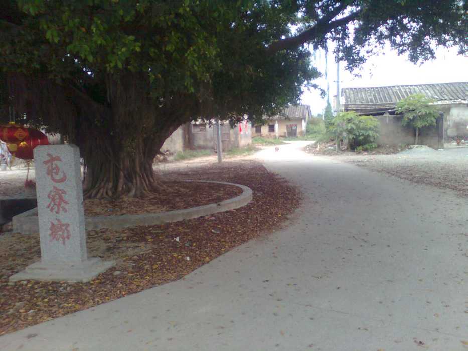 新屯寮村 新屯寮村