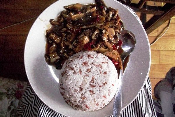 蘑菇肉絲蓋飯 蘑菇肉絲蓋飯