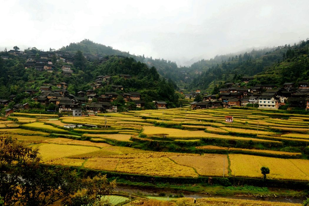 陶堯村