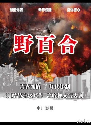 王俐丹 王俐丹