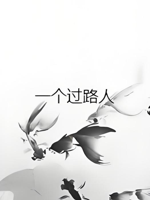一個過路人 一個過路人