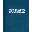 武魄星空 武魄星空