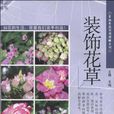 裝飾花草 裝飾花草