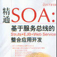 精通SOA：基於服務匯流排的Struts+EJB+Web Service整合套用開發