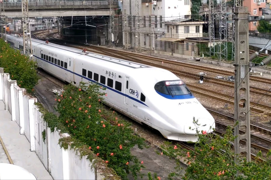 D1853/D1856次 D1853/D1856次
